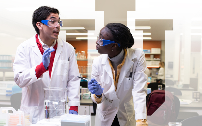 Two researchers have a lively discussion in a lab