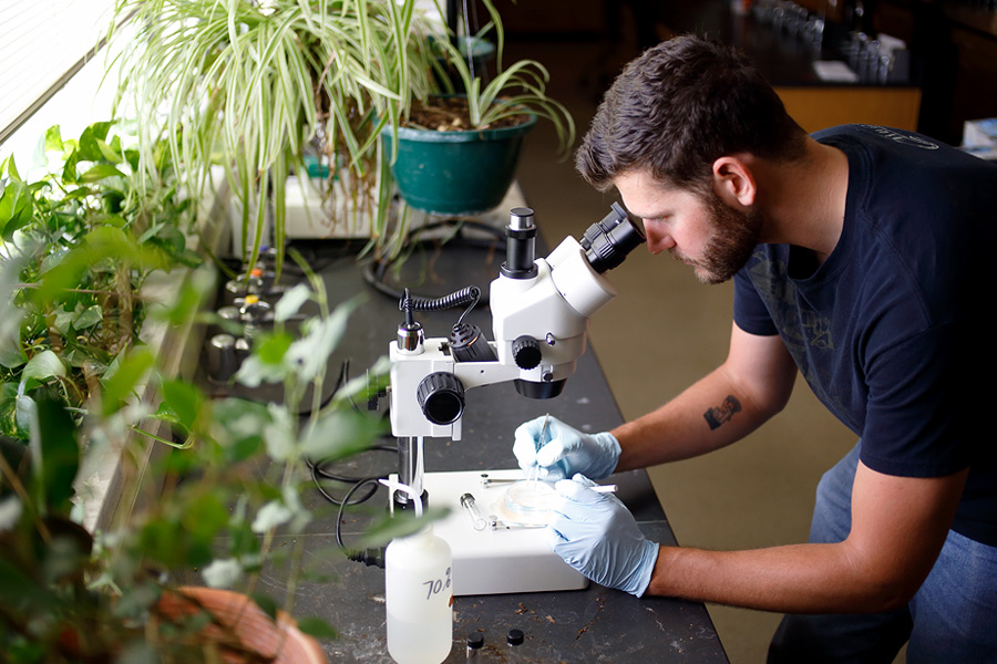 A student looks through a microscope in a lab room full of plants.