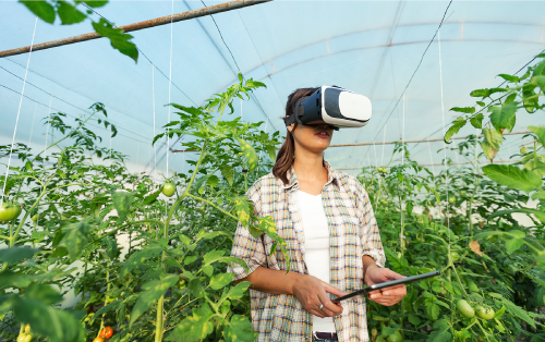 A person surrounded by plants wearing virtual reality goggles