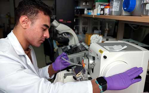 A student in a lab works with a microtome.