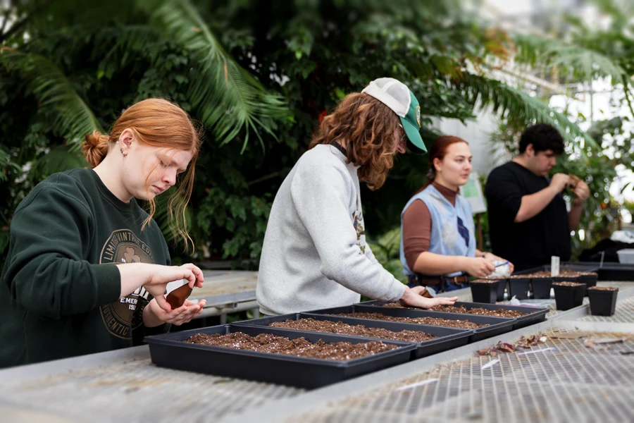 Volunteers work in a greenhouse